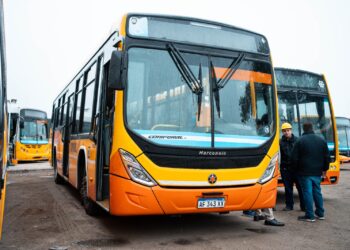 Coniferal suma 12 colectivos 0 km que prestarán servicio en la línea 42