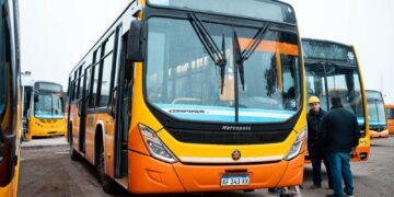 Coniferal suma 12 colectivos 0 km que prestarán servicio en la línea 42