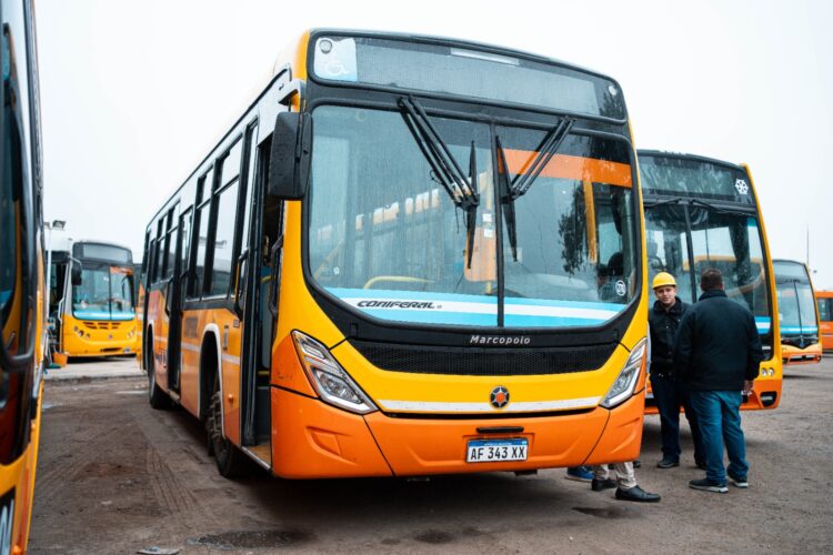 Coniferal suma 12 colectivos 0 km que prestarán servicio en la línea 42