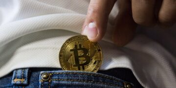 ¿Cuáles son las wallets más usadas en Argentina para resguardar criptomonedas?