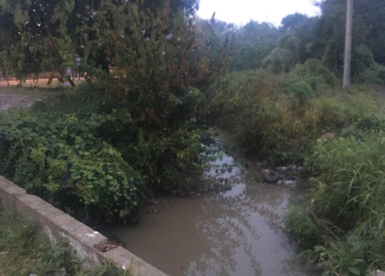 Hallaron un cadáver irreconocible en un canal de barrio Los Boulevares