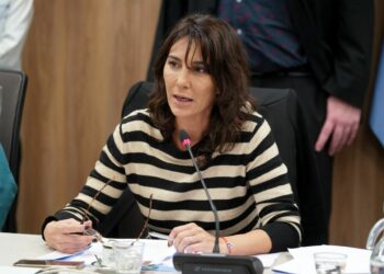 Transporte urbano: diputadas se suman al reclamo por subsidios