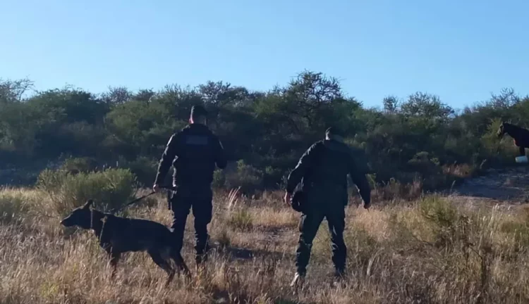 Personal de Bomberos y de la Policía halló el cadáver separado en bolsas.