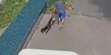 Se filtró un supuesto audio del falso veterinario justificando la golpiza al perro