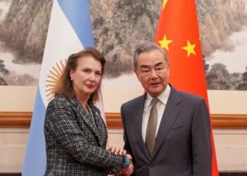 Diana Mondino: «Son chinos, son todos iguales»