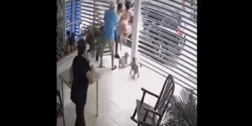 Le quisieron robar, pero su mamá lo salvó con una increíble patada voladora