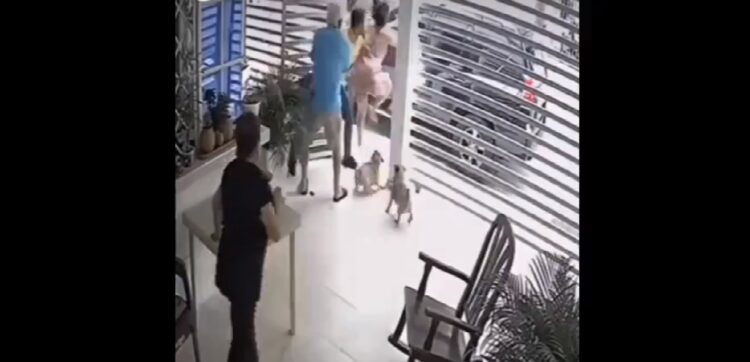Le quisieron robar, pero su mamá lo salvó con una increíble patada voladora