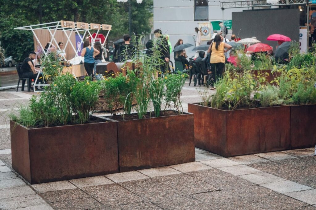 Advierten un "despilfarro" municipal en la adquisición de especies botánicas