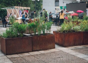 Advierten un «despilfarro» municipal en la adquisición de especies botánicas