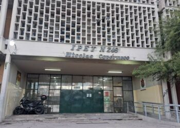 Ingresó al colegio de su hija y golpeó a cinco estudiantes