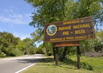 Alerta en el sector ambiental por artículos de la Ley Bases