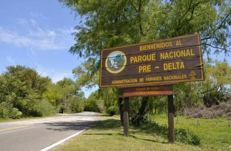 Alerta en el sector ambiental por artículos de la Ley Bases