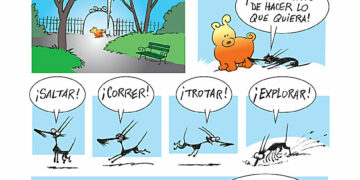 Tutuca y Satán, en Hoy Día Córdoba