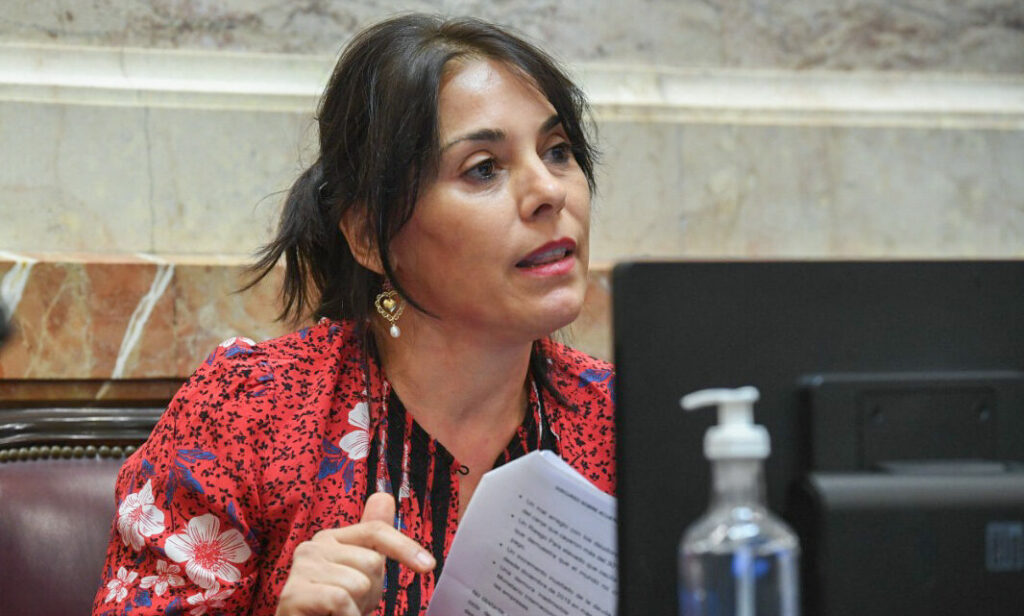 Guiño del Gobierno a una senadora clave, en la previa a la votación de la Ley Bases en el Senado