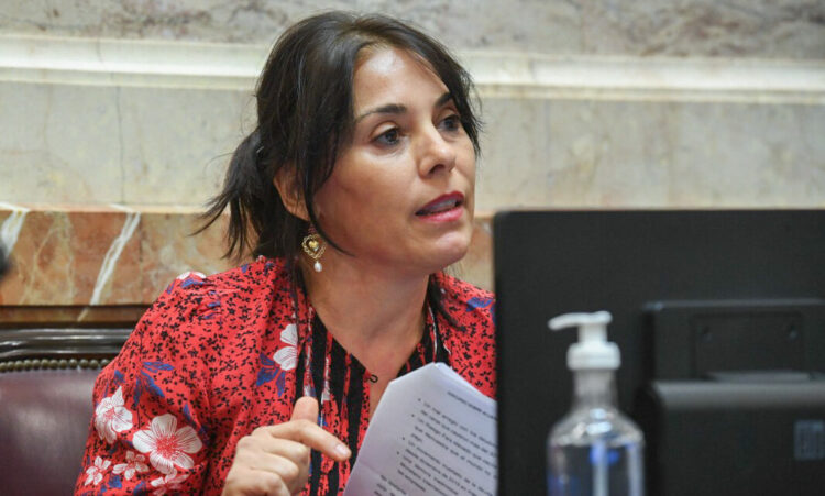 Guiño del Gobierno a una senadora clave, en la previa a la votación de la Ley Bases en el Senado