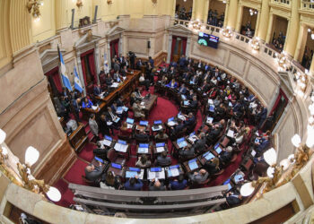 El Senado aprobó el Rigi, las privatizaciones y la delegación de facultades