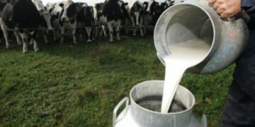 La producción de leche retrocedió 14,5% en el primer cuatrimestre del año