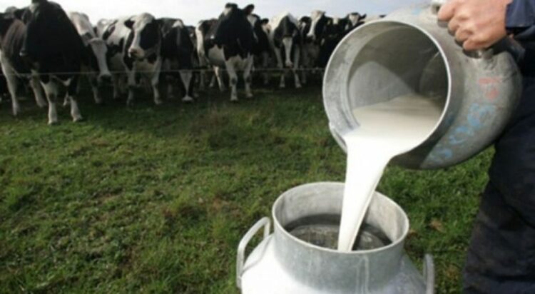 La producción de leche retrocedió 14,5% en el primer cuatrimestre del año