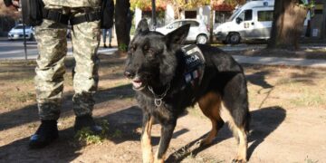Tras 8 años de trabajo con las fuerzas penitenciarias, se jubiló Inca, la agente canina