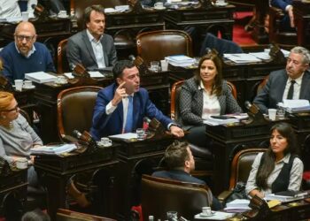 El radicalismo se divide ante la presión oficial por la Ley Bases