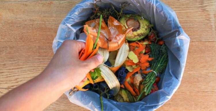 Se pierden más de 16 millones de toneladas de comida por año