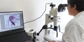 Un método nuclear ayudaría a prevenir los casos de dengue