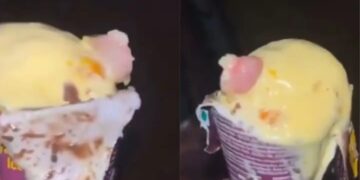 Tomaba un helado y con una mordida descubrió algo aterrador y asqueroso