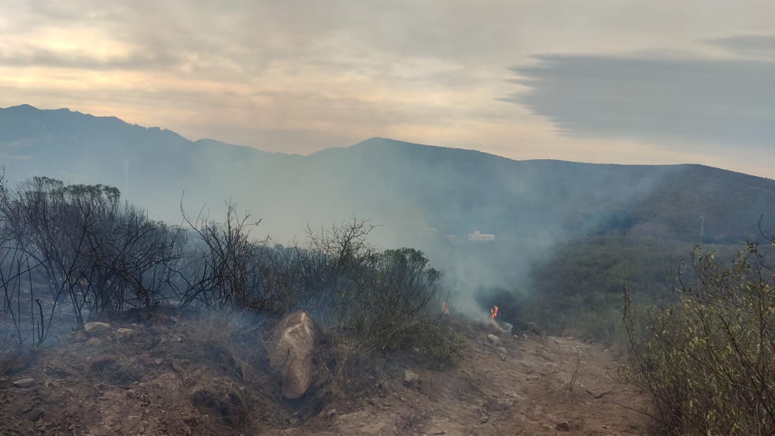 Los bomberos combatían el fuego en siete puntos de la provincia