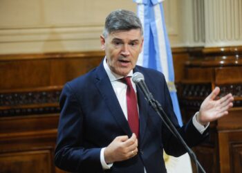 Passerini en el Congreso: «La casta no viaja en colectivo»