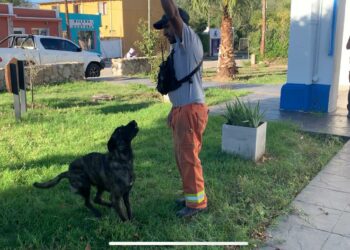 Bomberos voluntarios de Córdoba se sumaron a la búsqueda de Loan en Corrientes