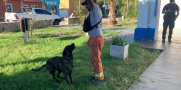 Bomberos voluntarios de Córdoba se sumaron a la búsqueda de Loan en Corrientes