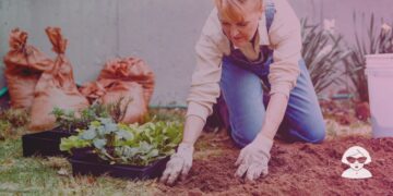 La Ecología como paradigma para un mundo sin exclusiones y maltratos