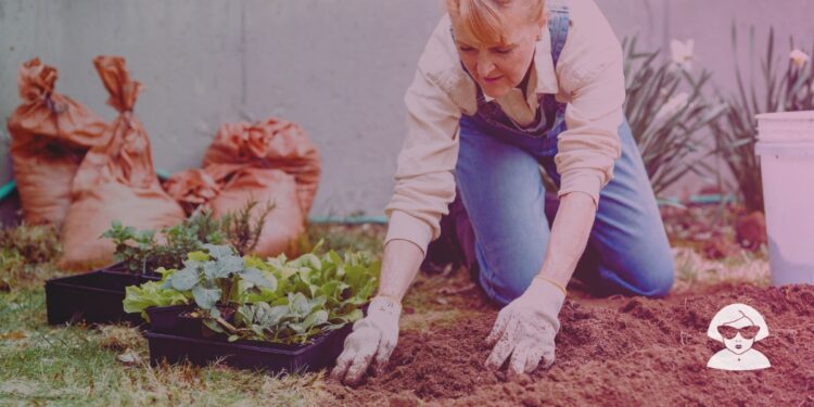La Ecología como paradigma para un mundo sin exclusiones y maltratos