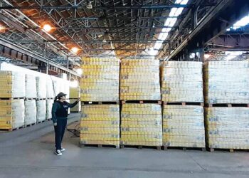 Un escándalo de corrupción en la cartera de Pettovello sacude al gobierno nacional