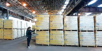 Un escándalo de corrupción en la cartera de Pettovello sacude al gobierno nacional