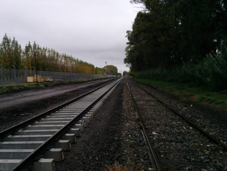 Cruzó con su hija entre dos vagones de un tren, arrancó sin aviso y atropelló a la nena
