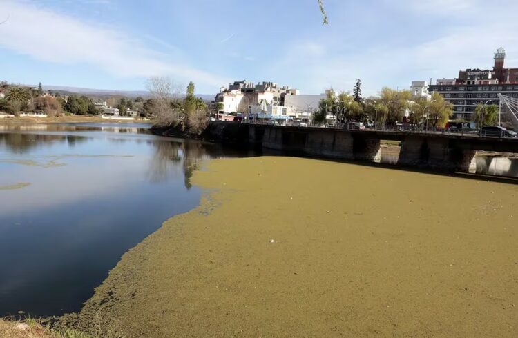 Contrapunto por el deterioro ambiental del Lago San Roque