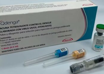 Dengue: la Provincia espera a Nación para comprar vacunas