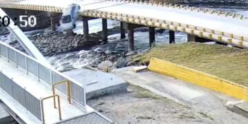 Un auto cayó desde un puente al río y la conductora explicó que su perra la distrajo