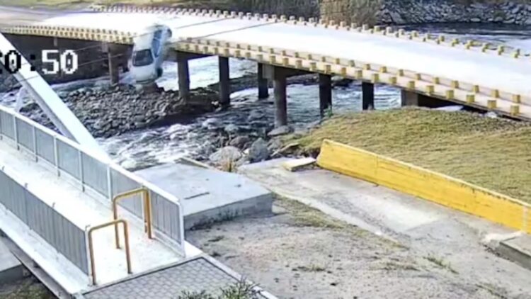 Un auto cayó desde un puente al río y la conductora explicó que su perra la distrajo