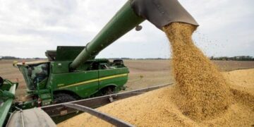 El precio de la soja sigue cayendo y enciende alarmas entre productores y el Gobierno