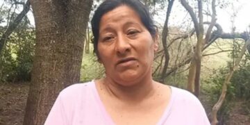 Se conocieron detalles de lo que declaró Laudelina, la tía de Loan: «Se lo llevaron»