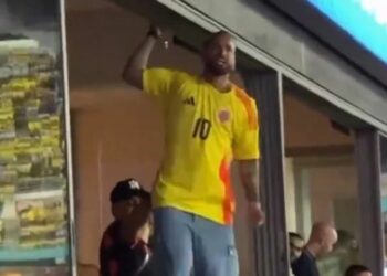 Maluma se peleó con hinchas argentinos tras la derrota de Colombia en la final de la Copa América