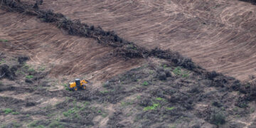 Preocupación por el aumento de los desmontes en el norte del país