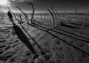 El Paseo del Buen Pastor inaugura una nueva muestra