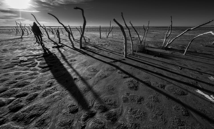 Una serie de fotografías en blanco y negro protagonizan el proyecto “El pulso vital asediado”.