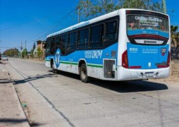 Tamse incorporó nuevos colectivos a tres de sus líneas