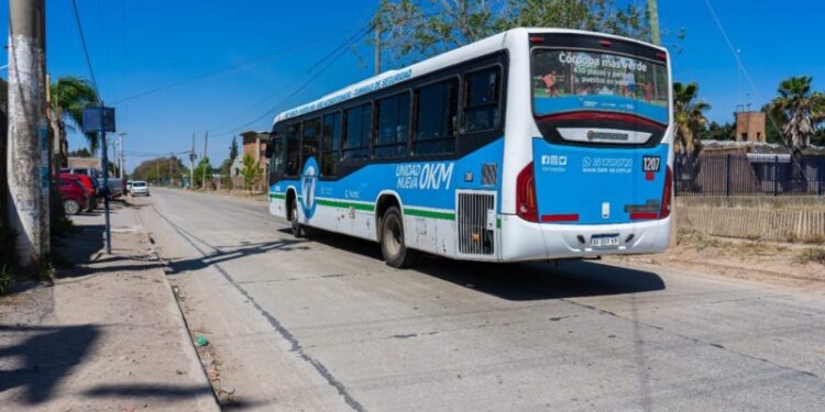 Qué recorrido hace la nueva línea que incorporó Tamse hoy