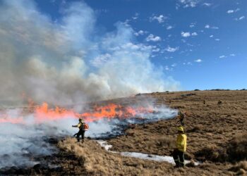 Casi 300 bomberos combaten el fuego en el Cerro Champaquí: 5.500 hectáreas afectadas