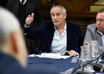 Baldassi pidió que las SAD se regulen por ley